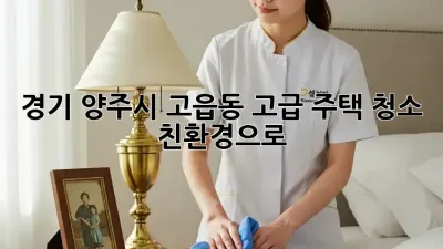 경기 양주시 고읍동 고급 주택 청소, 친환경으로 ✨